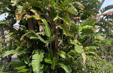 Saltflat2, be surrounded by sun, water and peace - Foto 65