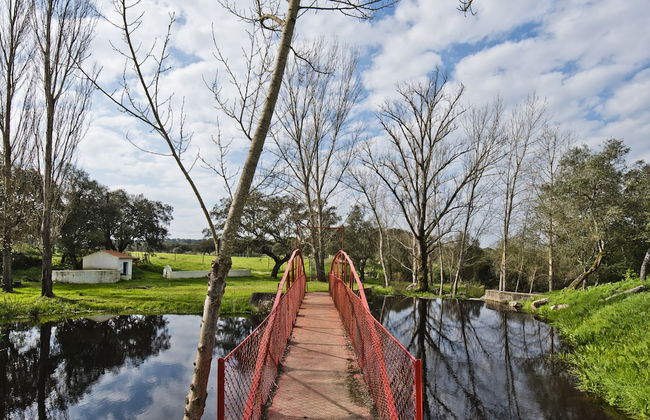 Herdade do Barrocal de Baixo - Foto 50