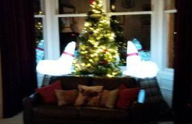 "Fraser's" at Marine Lodge - Foto 33