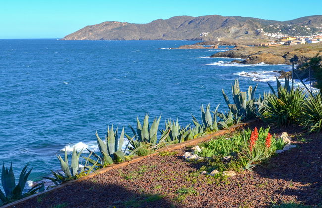 El Paraiso - Foto 26