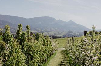 4 Sterne Ferienwohnung Hochries - Foto 25