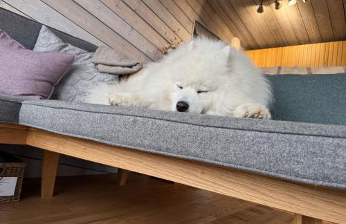 Off Grid Travel at Cambo Estate - Foto 52