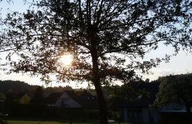 Eifelferienhaus Thome - Foto 19