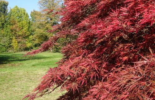 Corte Isolo - Photo 27