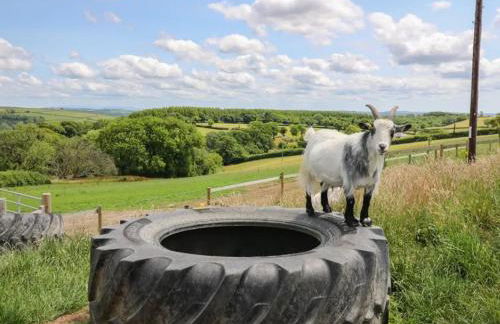 2 bedroom holiday home in the heart of west wales - Photo 18