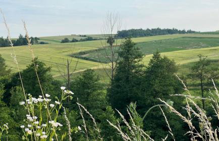 W Kręgu Natury - Foto 43