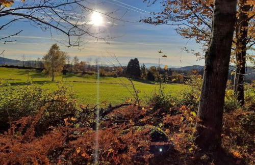 Blockhaus am Baumwipfelpfad - Foto 62