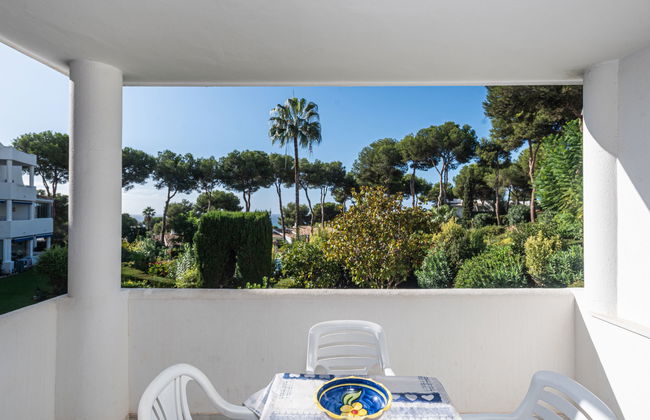 Jardin de miraflores - Foto 18