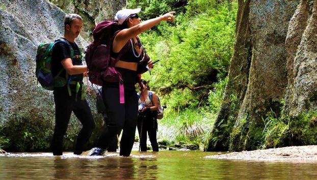 Ruta privada de trekking por Los Gigantes - Foto 4