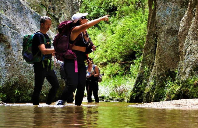 Ruta privada de trekking por Los Gigantes - Foto 4