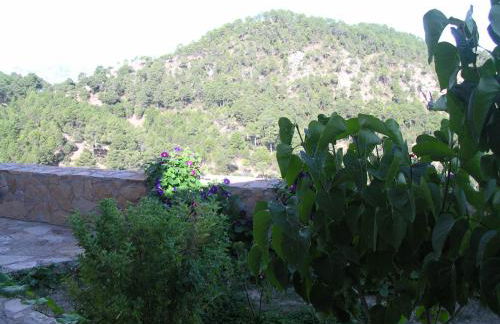 La casa de la Luz - Foto 6