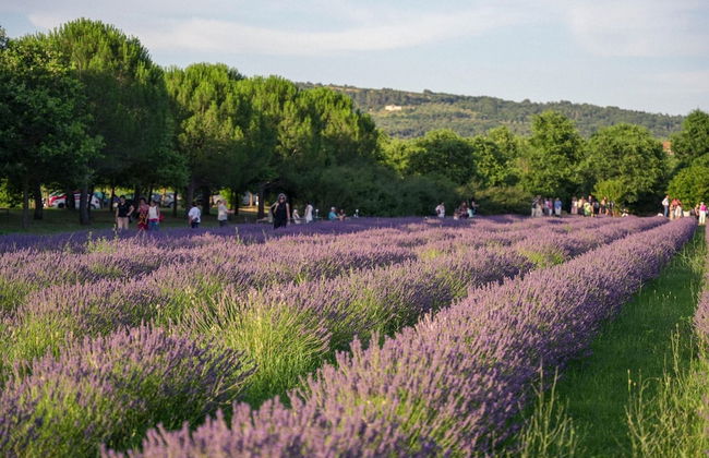 Belvilla by OYO Cotogno - Foto 23