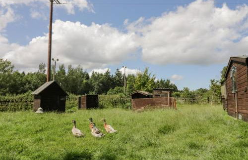 Kite's Nest - Foto 15