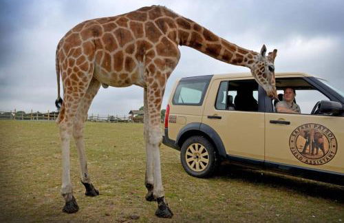 Cosy Georgian Cottage in the Heart of Bewdley, Worcestershire - Foto 25
