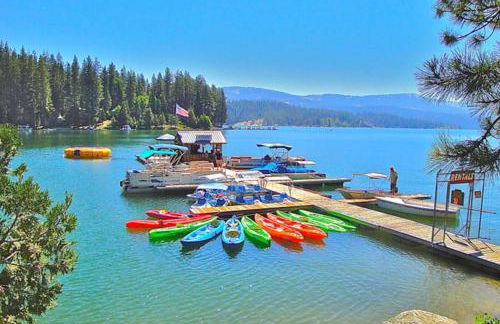 Paw's Cabin - Foto 27