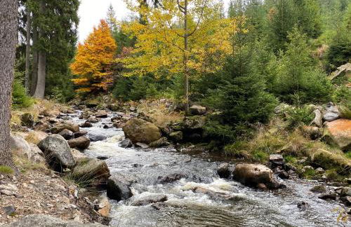 Ferienapartments Försterei Eibenstock - Foto 41