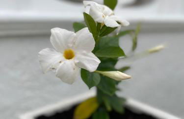 Casa vacanze Santiago e Ian - Foto 36