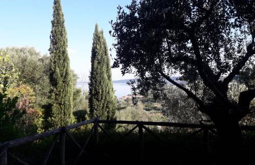 La Cerasa - il Lago fuori - Foto 56