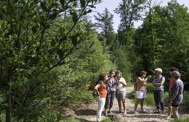 Het Landhuis - Foto 33