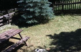 En pleine nature avec jardin - Foto 30