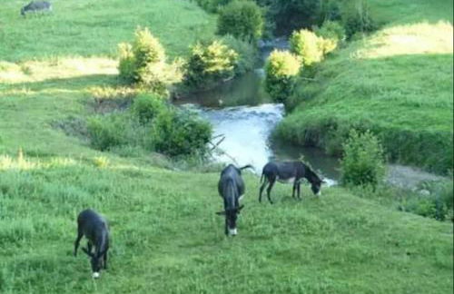 Les Chalets de Pierretoun - Foto 20