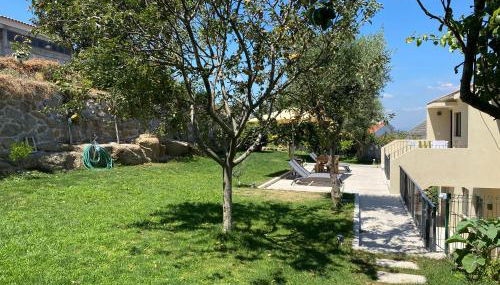 Casa da Zéfinha - Villa, em Cinfães, no Douro - Foto 4, Garden