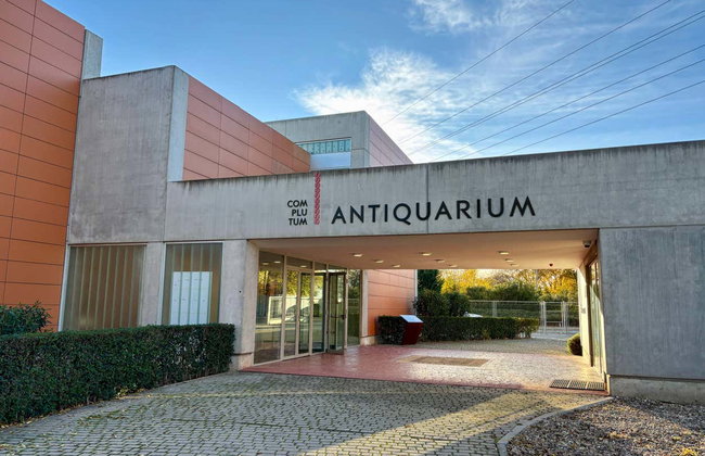 Visita guiada por el yacimiento de Complutum + Museo Antiquarium - Foto 6