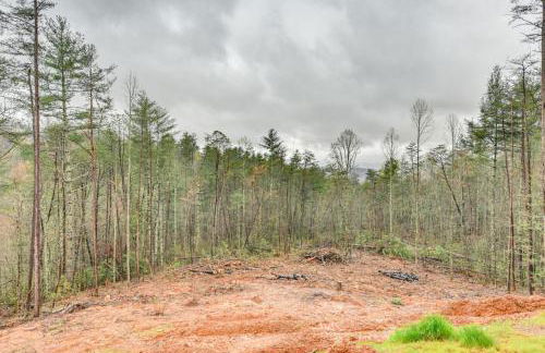 Smoky Mtn Cabin with Hot Tub and Scenic Views - Foto 36