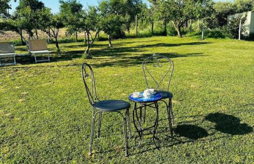 Az. Agricola Agriturismo Lo Schiucciolo - Foto 11