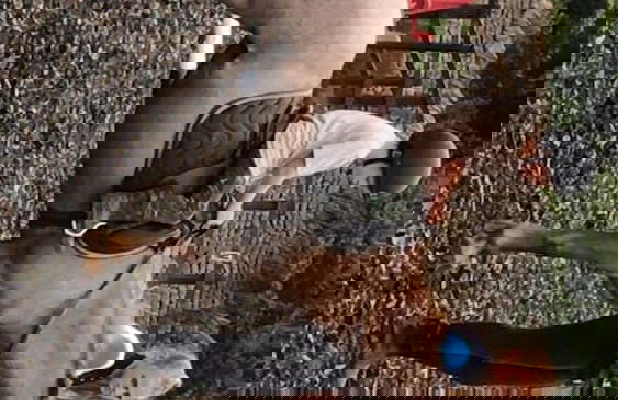 Cosy Cottage Sleeps 6 Suit Families, Contractors, Couples - Photo 12