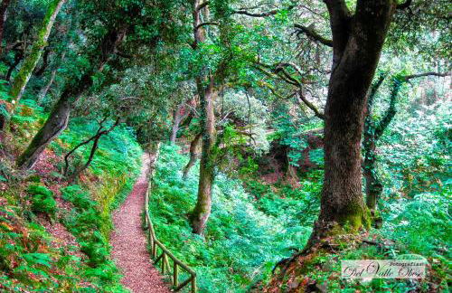 Casa Rural Del Valle Obeso - Foto 57