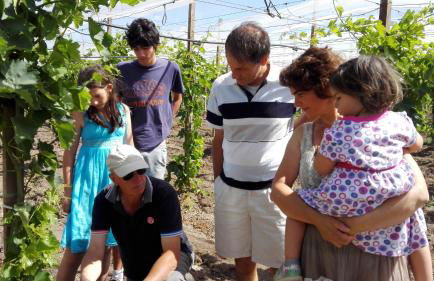 Masseria Marico - Foto 22