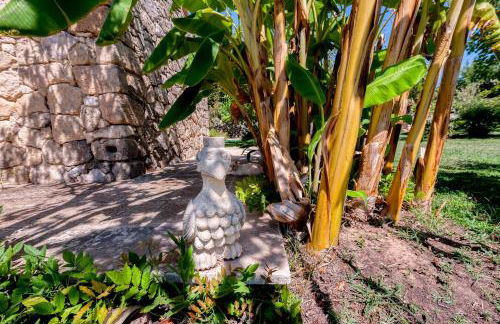 Masseria Copertini - Foto 9