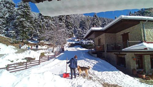 Τα Πέτρινα της Ελάτης - Petrina Elatis - Foto 3