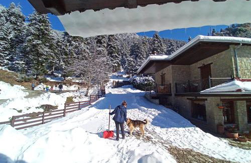 Τα Πέτρινα της Ελάτης - Petrina Elatis - Foto 3