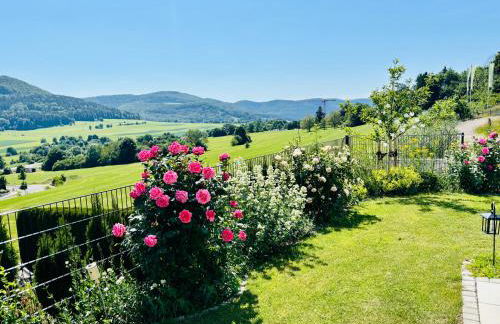 Panoramablick mit Premium-Wanderwegen vor der Haustür - Foto 8