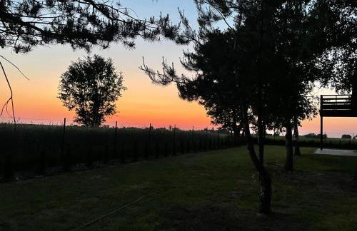 U Progu Lasu - Foto 7