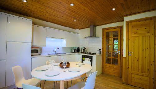 Fern Gully Lodge with Hot Tub - Spa Resort - Devon - Foto 5, stove, toaster