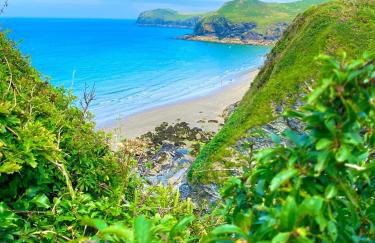 Traditional coastal cottage in Cornwall - Foto 24