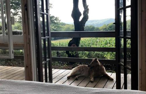 Romantic New York Getaway near the Adirondacks - Foto 6