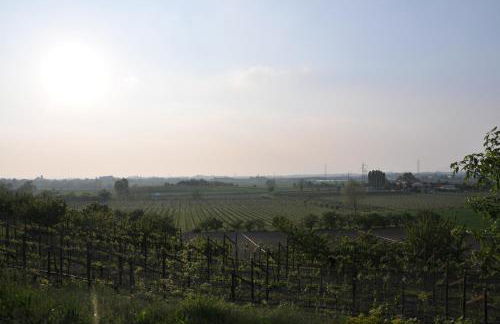 Agriturismo Corte Albarel - Foto 19