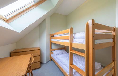 Kornblume_DH - Foto 18