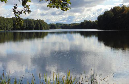 Pod Gwiazdami - całoroczny domek na Kaszubach - Foto 9