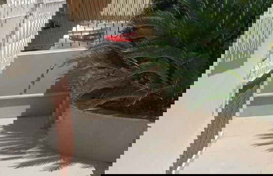 Ap Punta Cana em Balneário Camboriú - SC - Photo 36