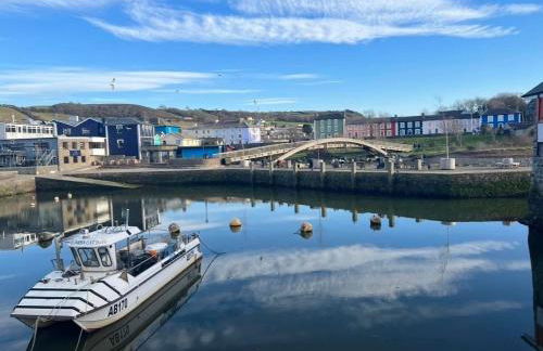 Nant Meigan, Georgian Townhouse in centre of Aberaeron, dog friendly - Foto 18