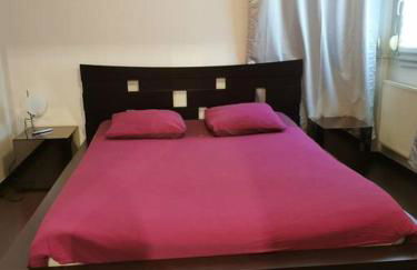 appartement cosy à 10 min du centre de Strasbourg - Foto 6