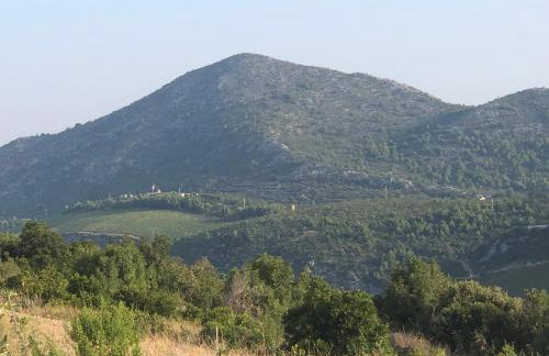 Fig Tree Apartment - Foto 34