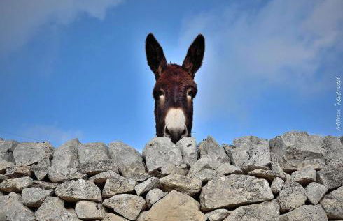 Guest House Adele - Foto 50