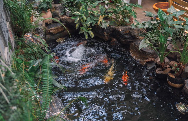 ST House DaLat - Foto 73