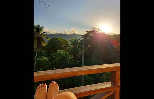 Great Palm View - Apartment 3 in Villa Coconut - Foto 3